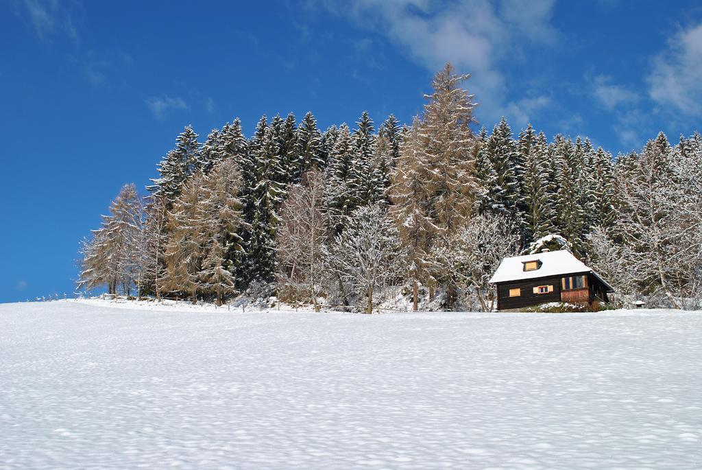 Schlintl-Hof Villa Liebenfels Ruang foto