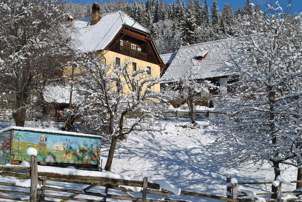 Schlintl-Hof Villa Liebenfels Bagian luar foto