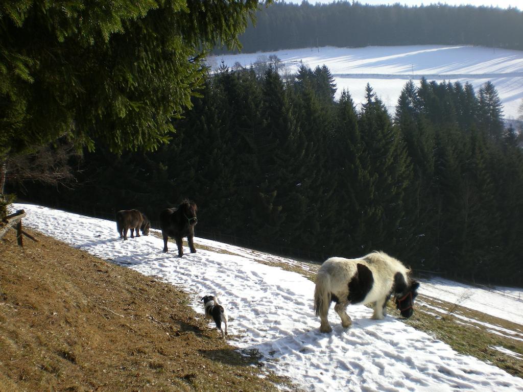 Schlintl-Hof Villa Liebenfels Bagian luar foto