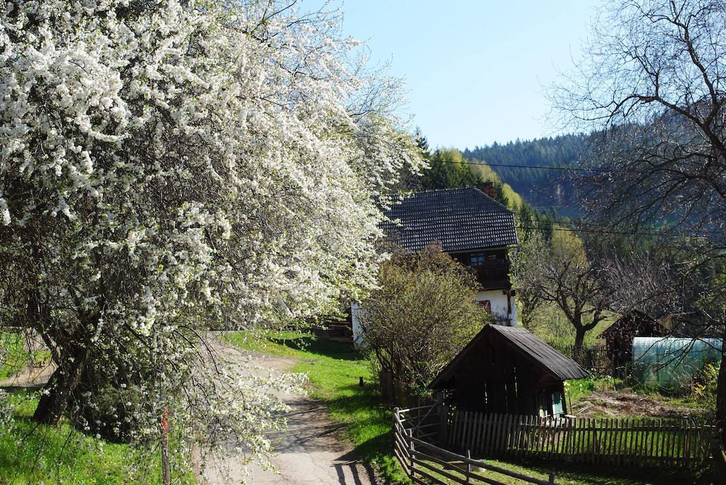 Schlintl-Hof Villa Liebenfels Bagian luar foto