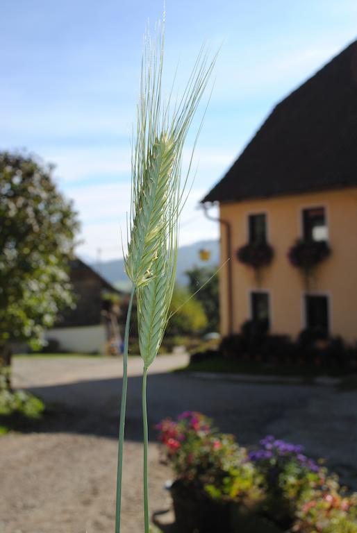 Schlintl-Hof Villa Liebenfels Bagian luar foto
