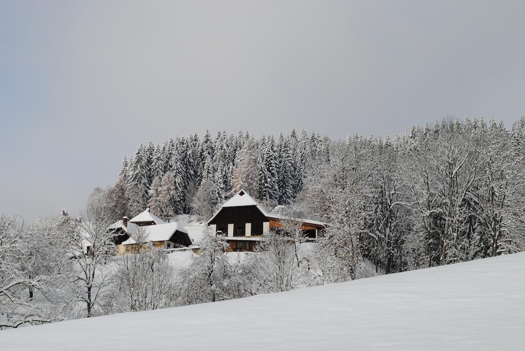 Schlintl-Hof Villa Liebenfels Bagian luar foto